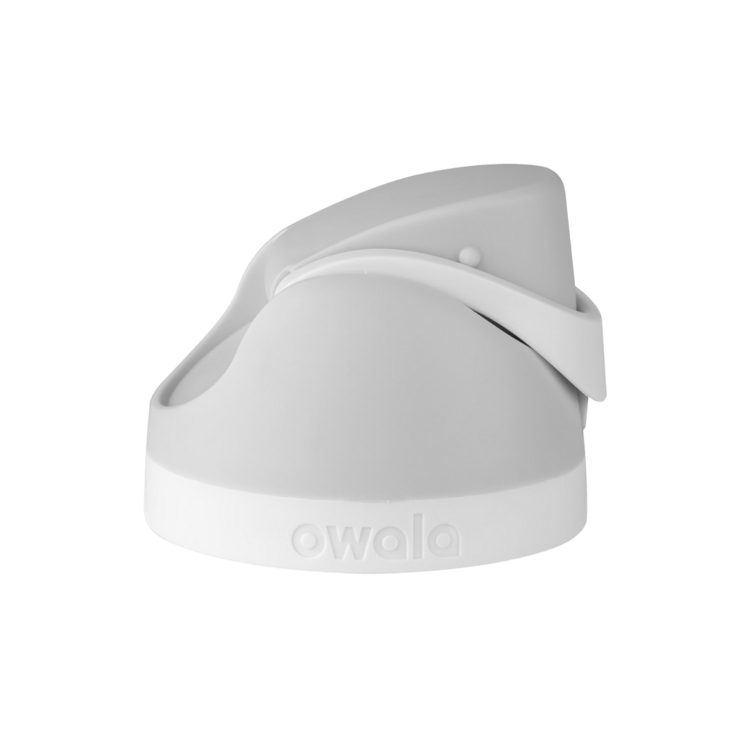 Brunch Bunch