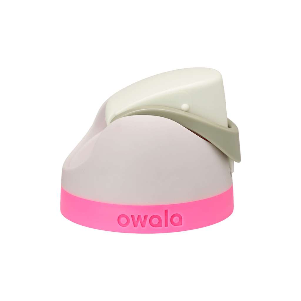 Brunch Bunch